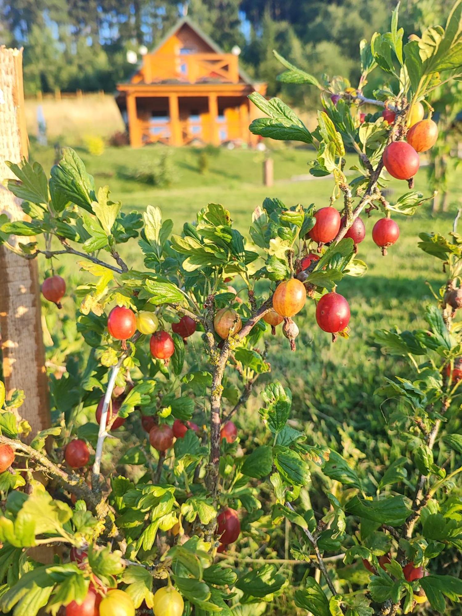 Domki Kolorowe Marciszow Kültér fotó