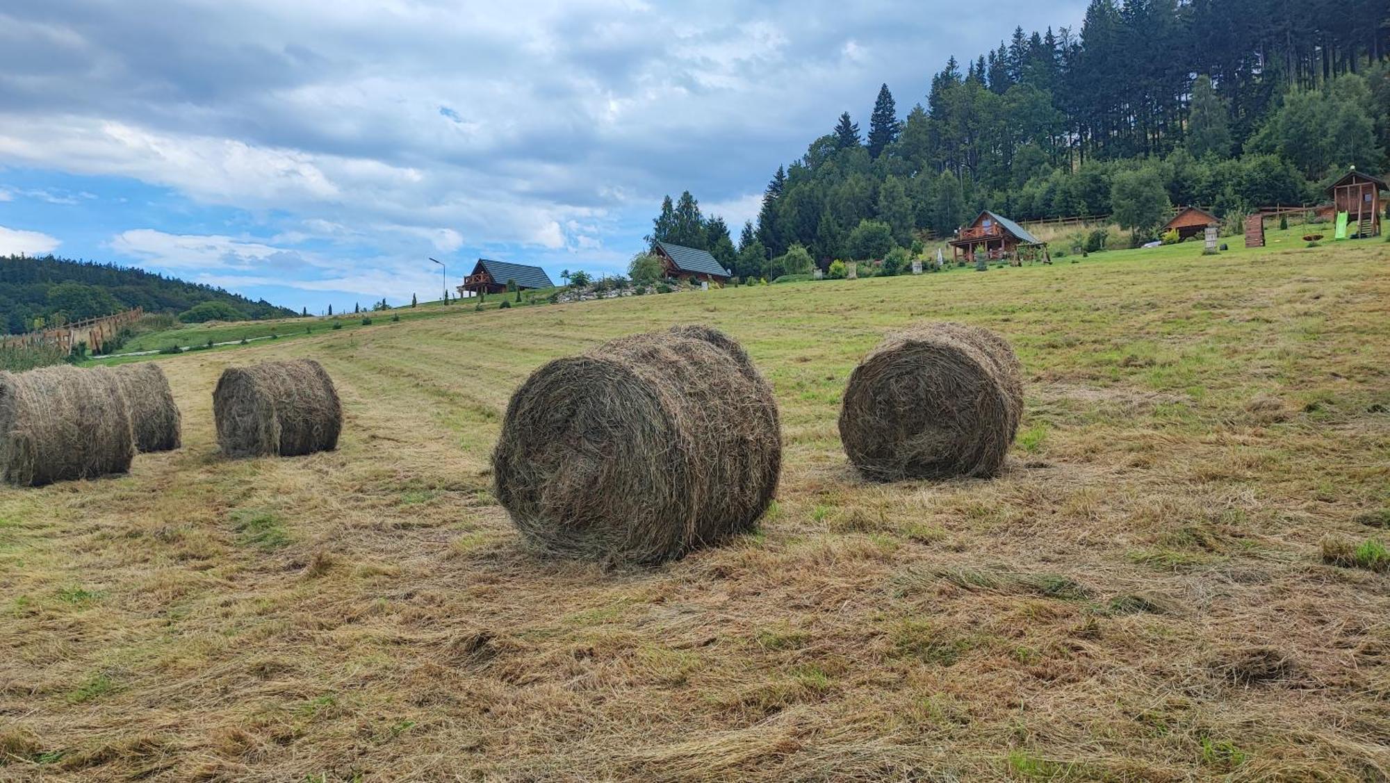 Domki Kolorowe Marciszow Kültér fotó